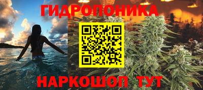 бошки Сланцы